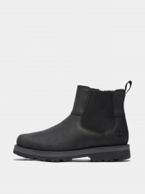 Ботинки и сапоги Timberland модель A25GV Фото