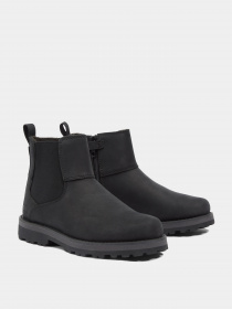 Ботинки и сапоги Timberland модель A25GV Фото