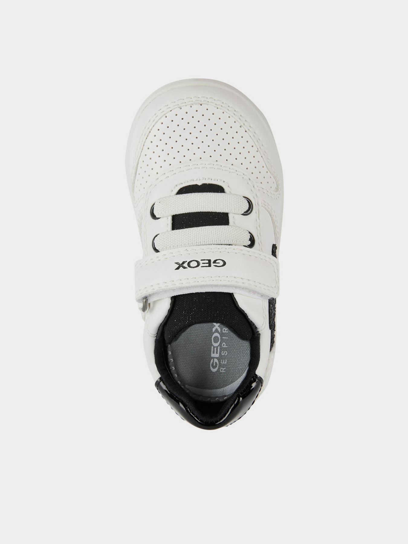 Кроссовки Geox модель B261WA-05402-C0404 Кроссовки Geox модель B261WA-05402-C0404 Фото