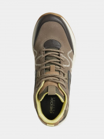 Кроссовки Geox модель D16PTB-02214-C5MD3 Фото
