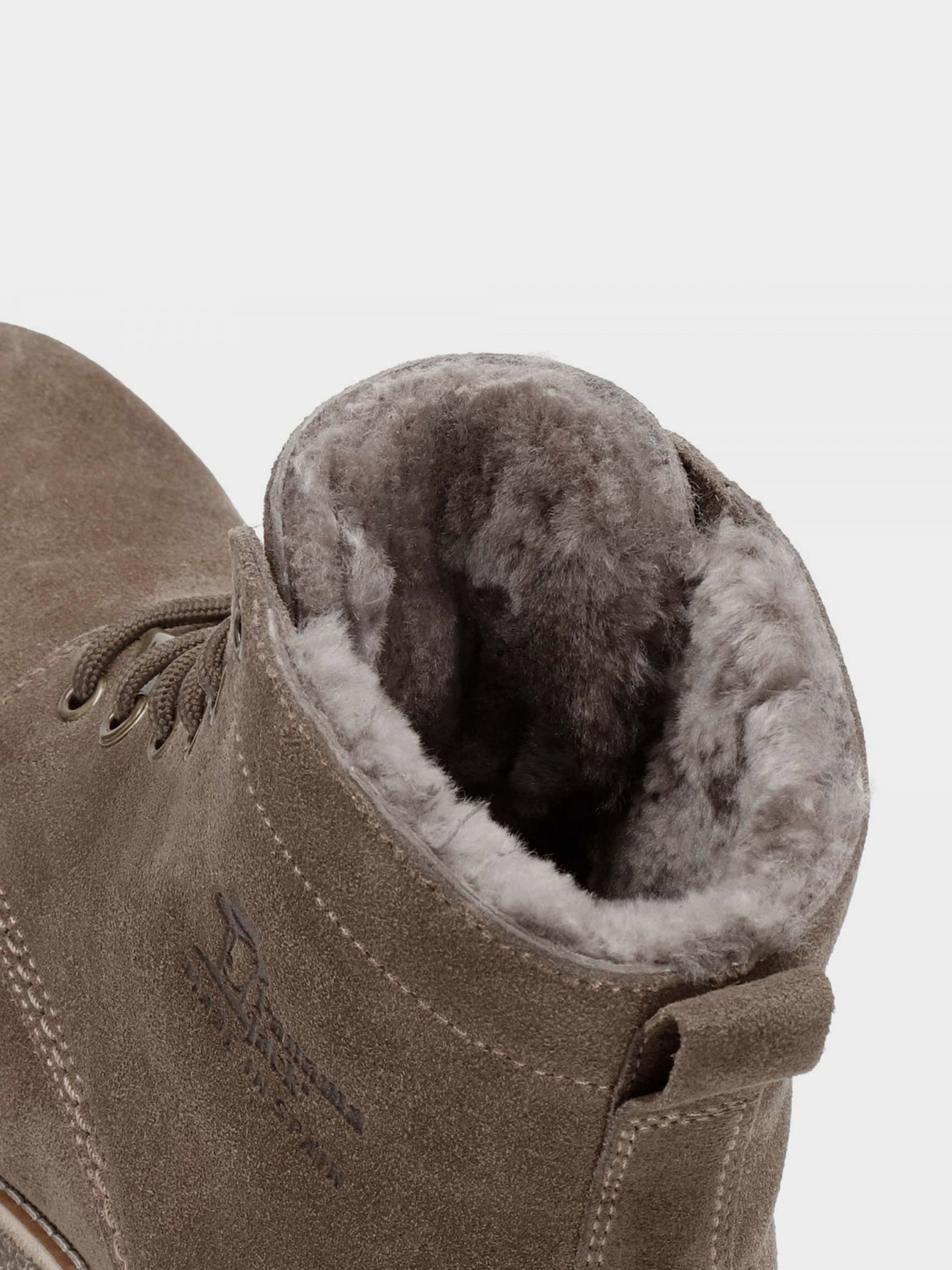 Ботинки и сапоги Panama Jack модель Glasgow Igloo C22 Velour Humo / Smoke Фото
