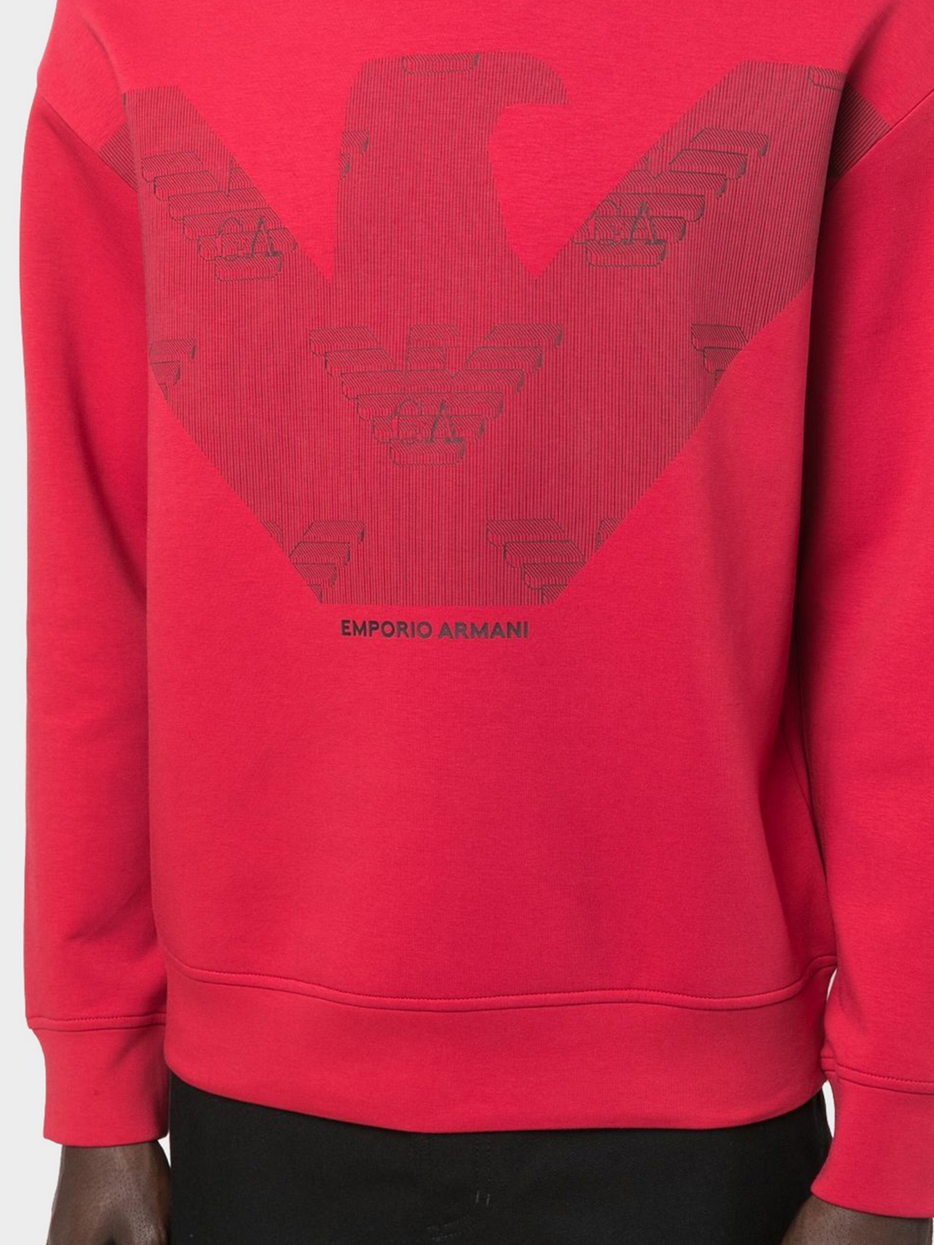 Худи и свитшоты Emporio Armani модель 3L1MFP-1JHSZ-0357 Фото