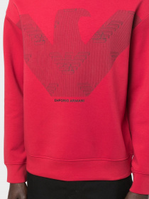 Худи и свитшоты Emporio Armani модель 3L1MFP-1JHSZ-0357 Фото