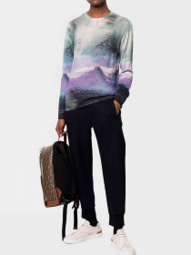 Худи и свитшоты Emporio Armani модель 3L1MV1-1M01Z-F903 Фото