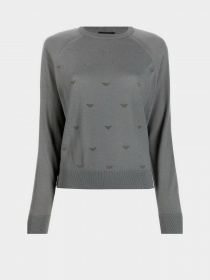 Худи и свитшоты Emporio Armani модель 6K2MW1-2M08Z-0615 Фото