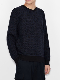 Худи и свитшоты Armani Exchange модель 6KZM1T-ZMN4Z-4520 Фото