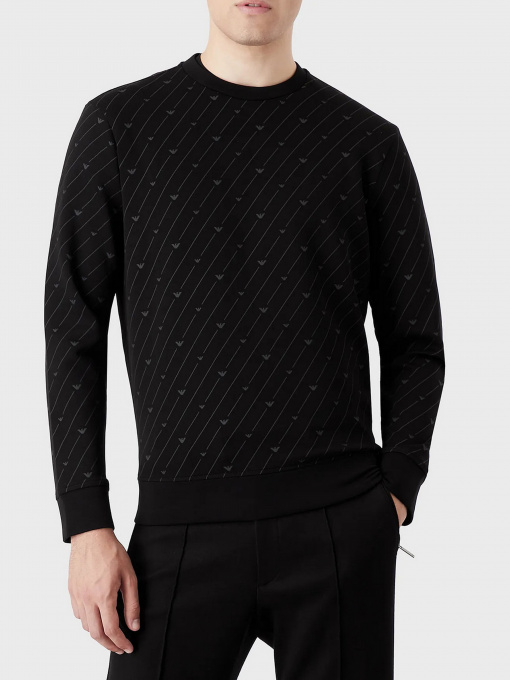 Худи и свитшоты Emporio Armani модель 6L1M78-1JHSZ-0009 Фото
