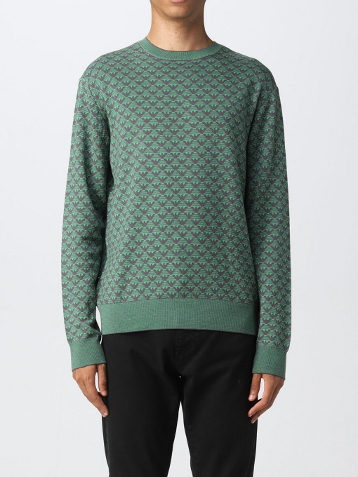 Худи и свитшоты Emporio Armani модель 6L1MX1-1MPRZ-F522 Фото