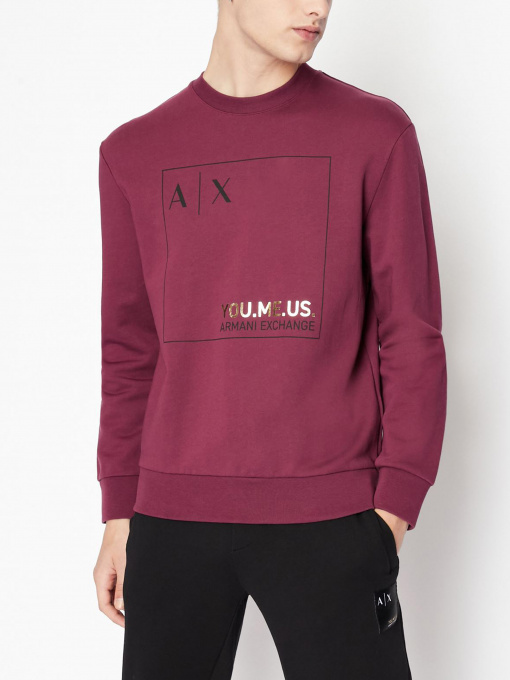 Худи и свитшоты Armani Exchange модель 6LZMAY-ZJFAZ-1306 Фото