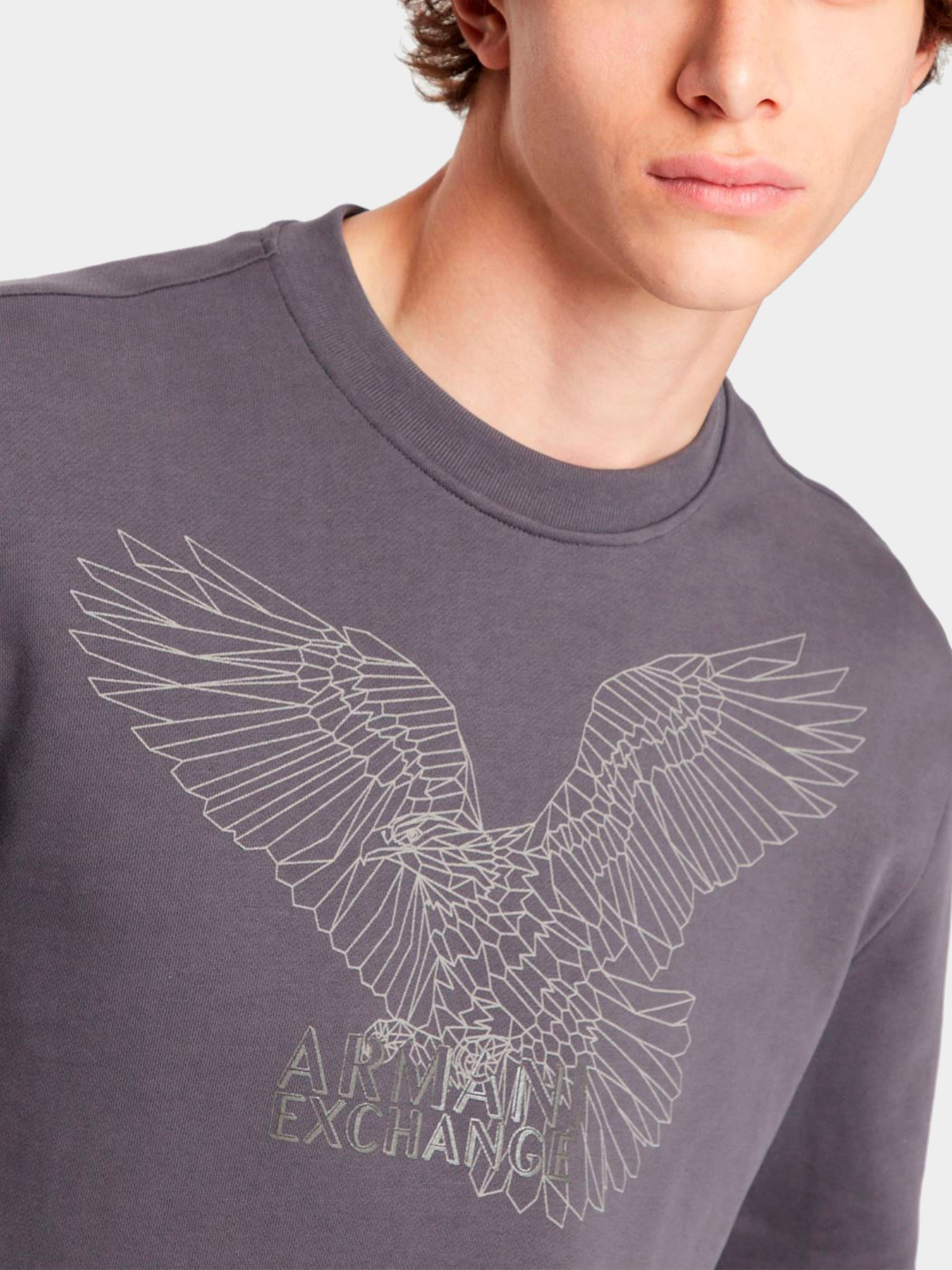 Худи и свитшоты Armani Exchange модель 6LZMHG-ZJ6RZ-1978 Фото