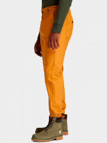 Брюки Timberland модель A22PRP47 Фото