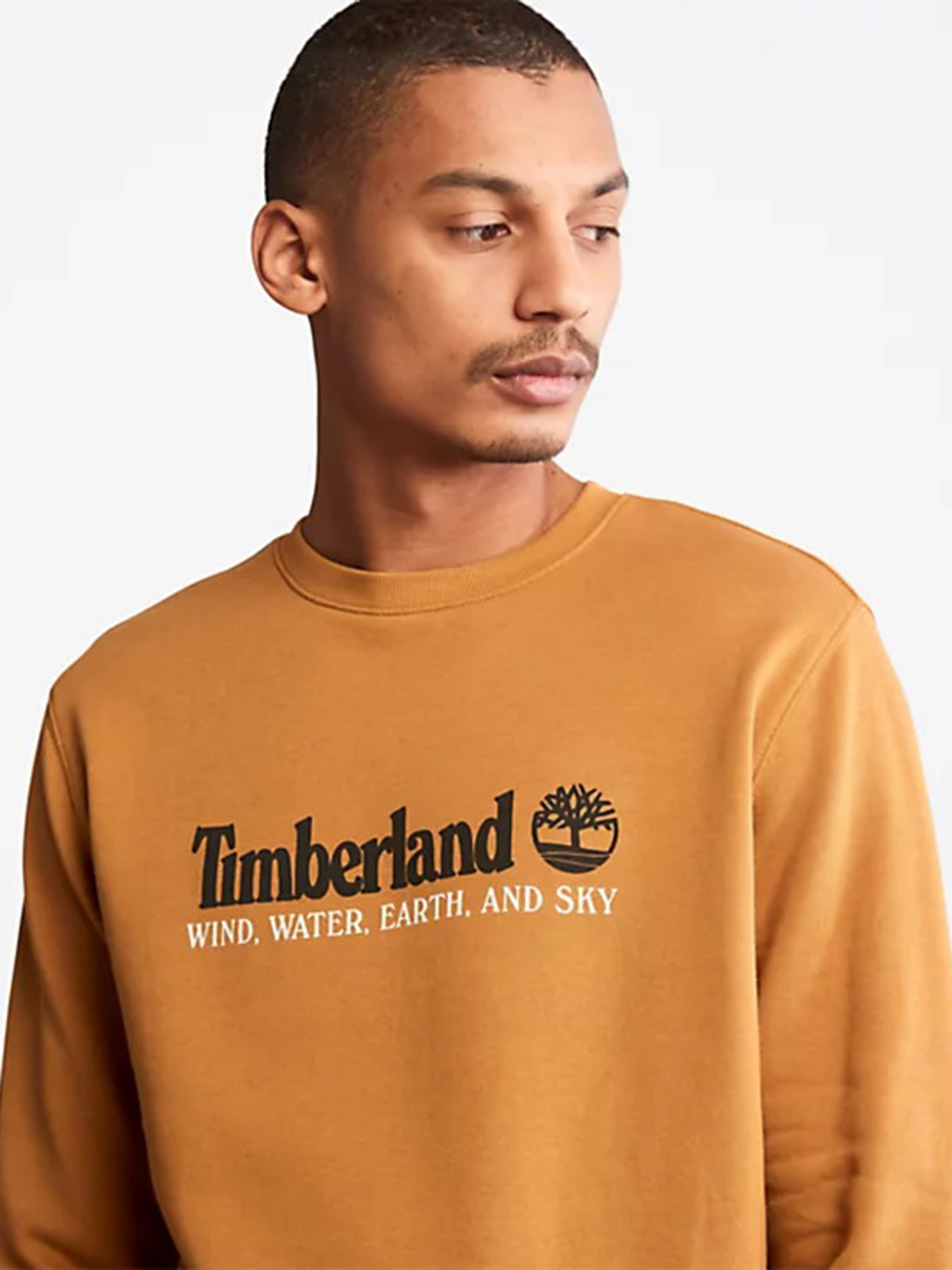 Худи и свитшоты Timberland модель TB0A27HCP47 Фото
