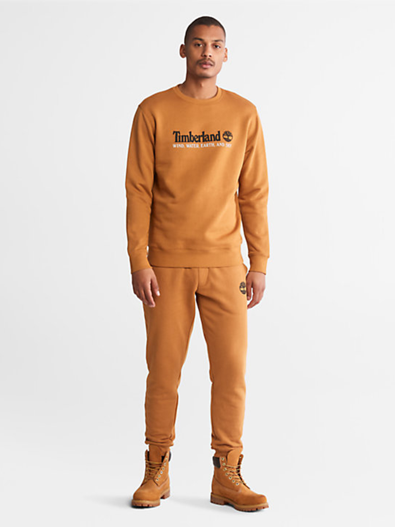 Худи и свитшоты Timberland модель TB0A27HCP47 Фото