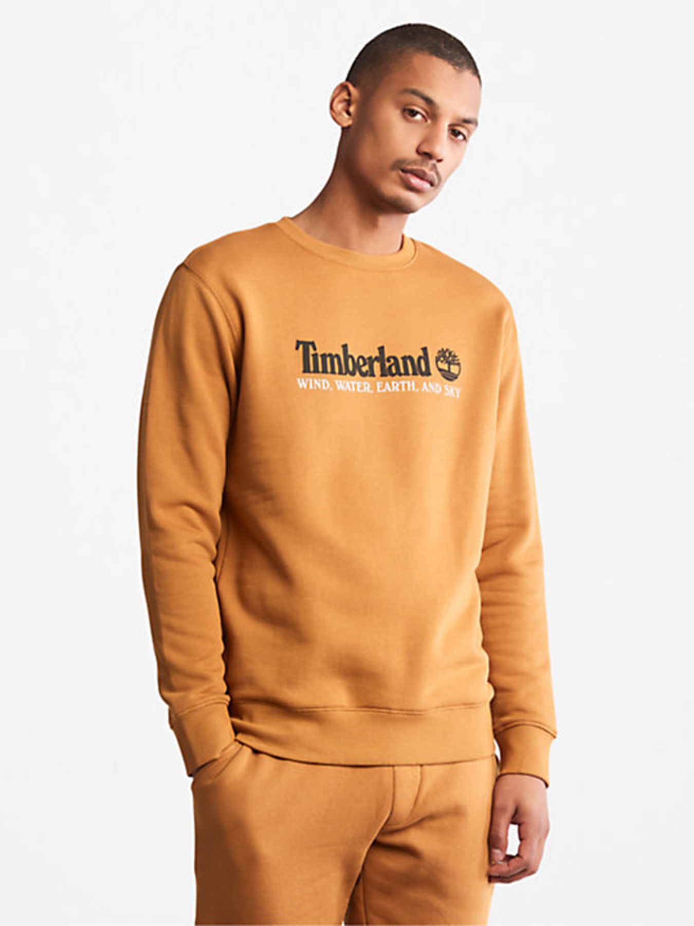 Худи и свитшоты Timberland модель TB0A27HCP47 Фото