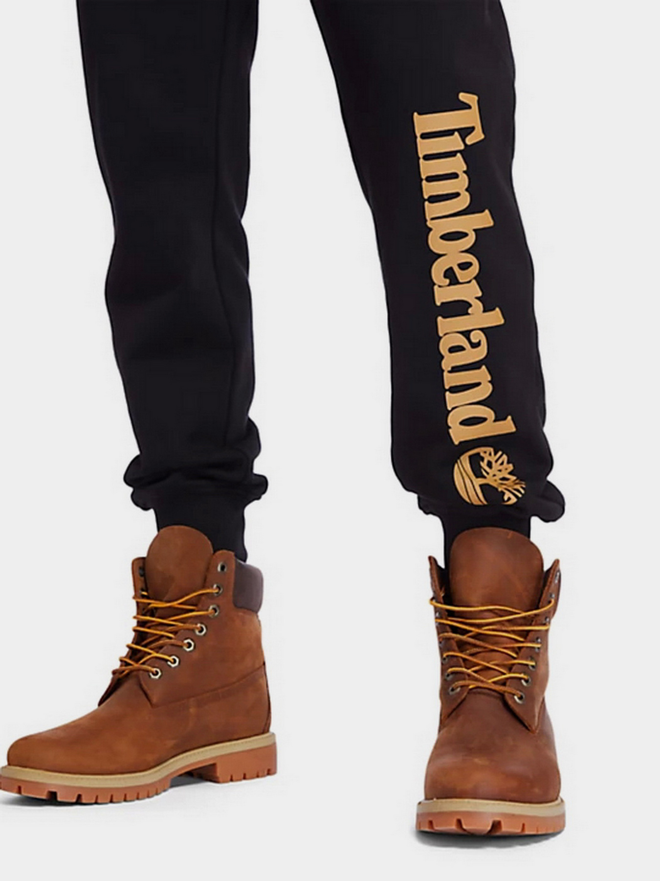 Брюки Timberland модель TB0A2BVFP56 Фото