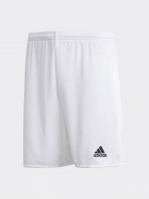 Шорты Adidas модель AC5256 Фото