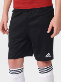 Шорты Adidas модель AJ5892 Фото
