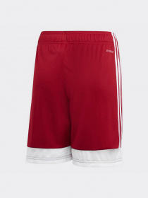 Шорты Adidas модель DP3685 Фото