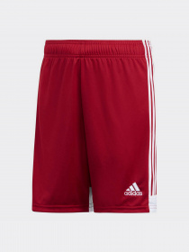 Шорты Adidas модель DP3685 Фото