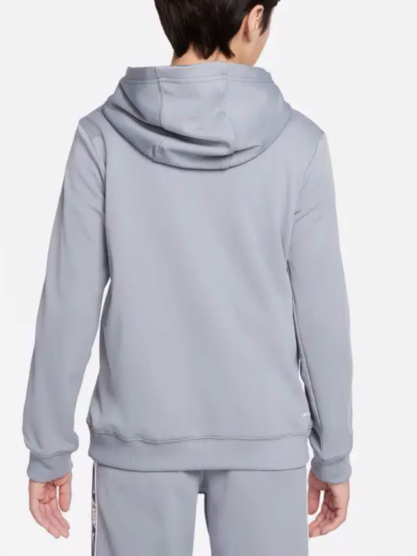 Худи и свитшоты NIKE модель DQ5101-073 Фото