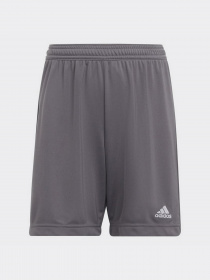 Шорты Adidas модель H57507 Фото