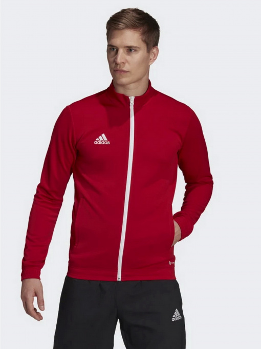 Худи и свитшоты Adidas модель H57537 Фото