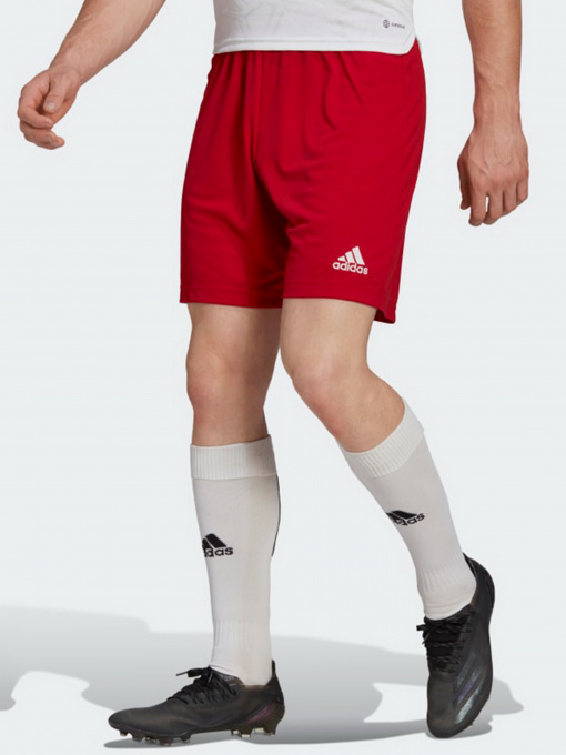 Шорты Adidas модель H61735 Фото
