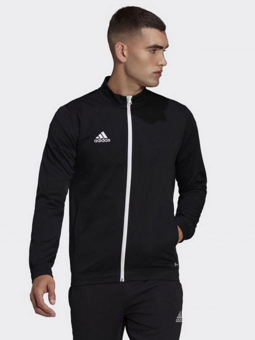 Худи и свитшоты Adidas модель HB0573 Фото