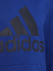 Худи и свитшоты Adidas модель HE9289 Фото