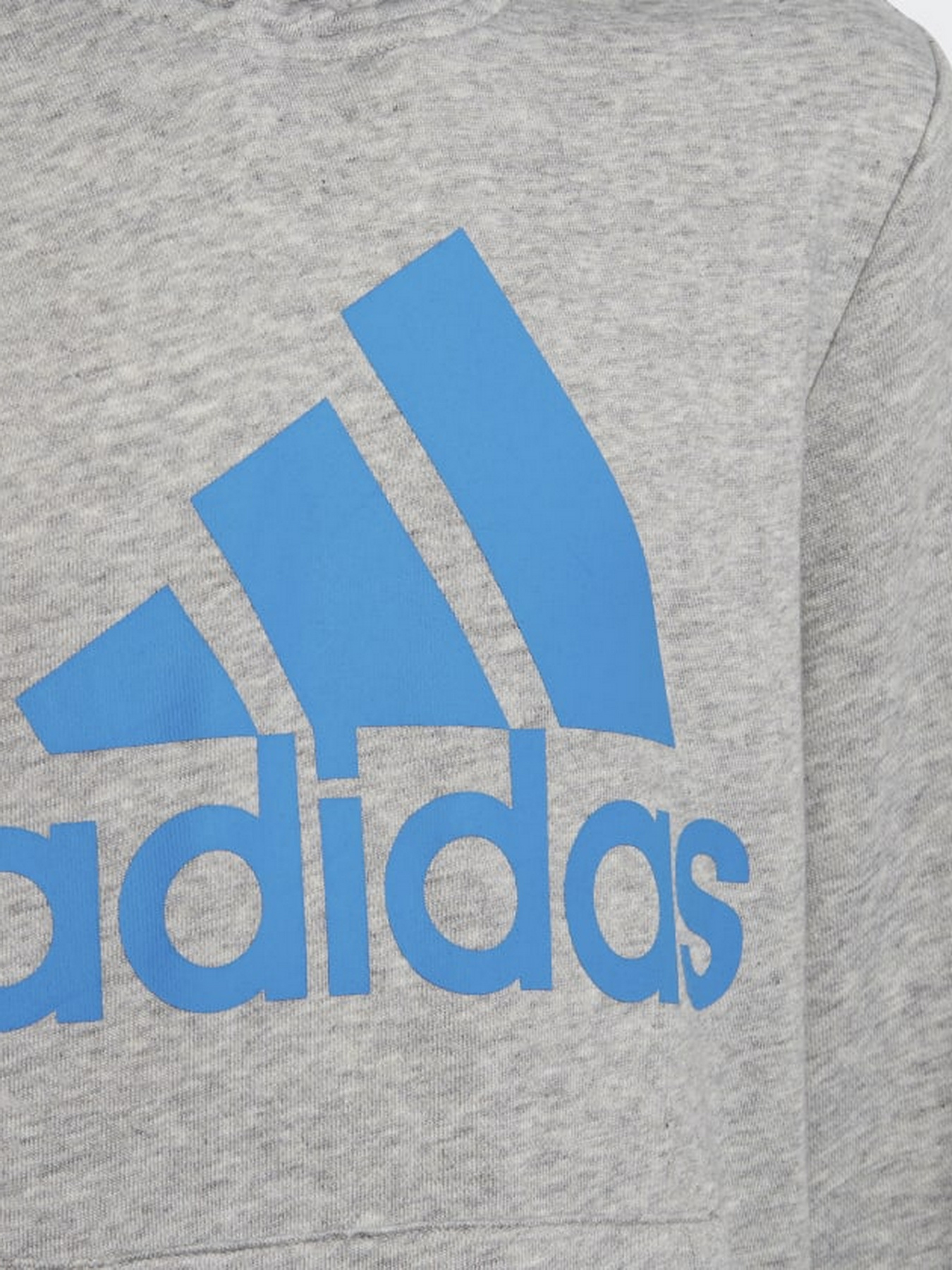 Худи и свитшоты Adidas модель HE9291 Фото