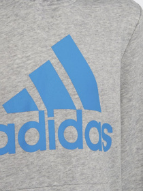 Худи и свитшоты Adidas модель HE9291 Фото