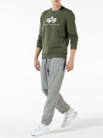 Брюки Alpha Industries модель MBP50000C1_041 Фото