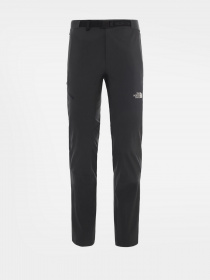 Брюки The North Face модель NF00A8SJ0C51 Фото