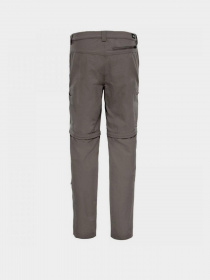 Шорты The North Face модель NF00CL9Q9ZG1 Фото