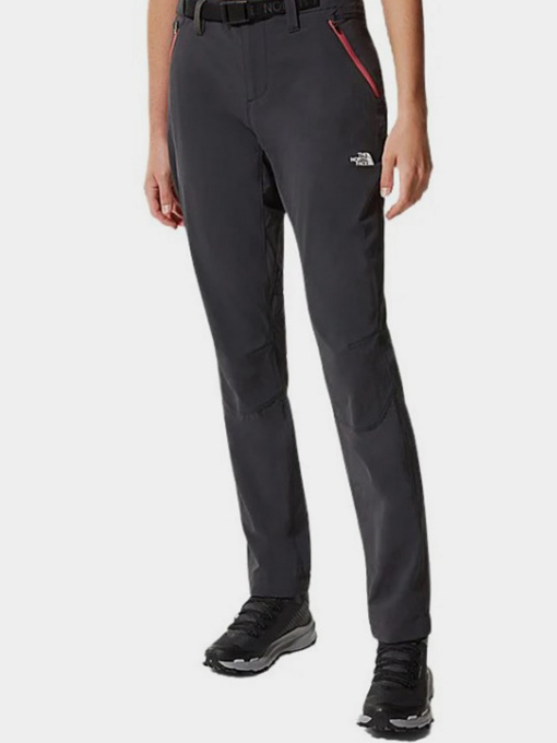 Брюки The North Face модель NF0A3VF84D61 Фото