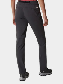 Брюки The North Face модель NF0A3VF84D61 Фото