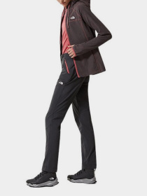 Брюки The North Face модель NF0A3VF84D61 Фото
