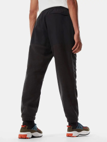 Брюки The North Face модель NF0A3Y41JK31 Фото