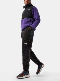 Брюки The North Face модель NF0A3Y41JK31 Фото