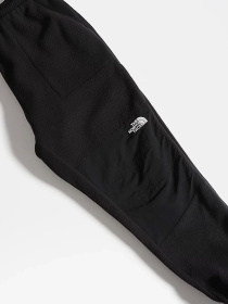 Брюки The North Face модель NF0A3Y41JK31 Фото