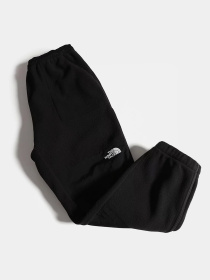 Брюки The North Face модель NF0A3Y41JK31 Фото