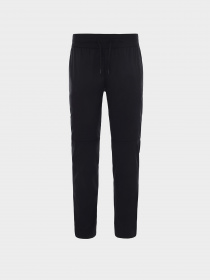 Брюки The North Face модель NF0A4AQDJK31 Фото