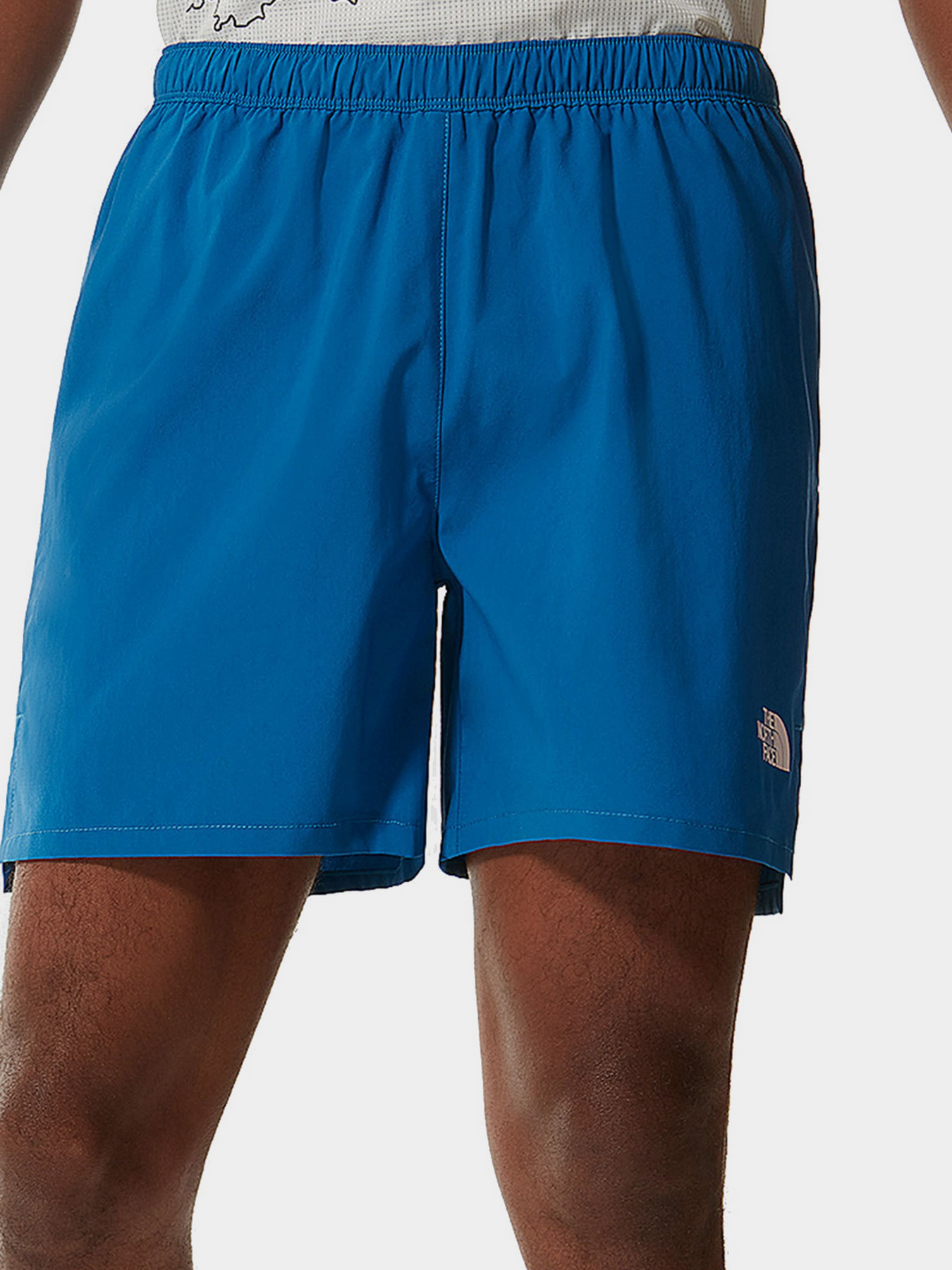 Шорты The North Face модель NF0A537LM191 Фото