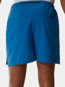 Шорты The North Face модель NF0A537LM191 Фото