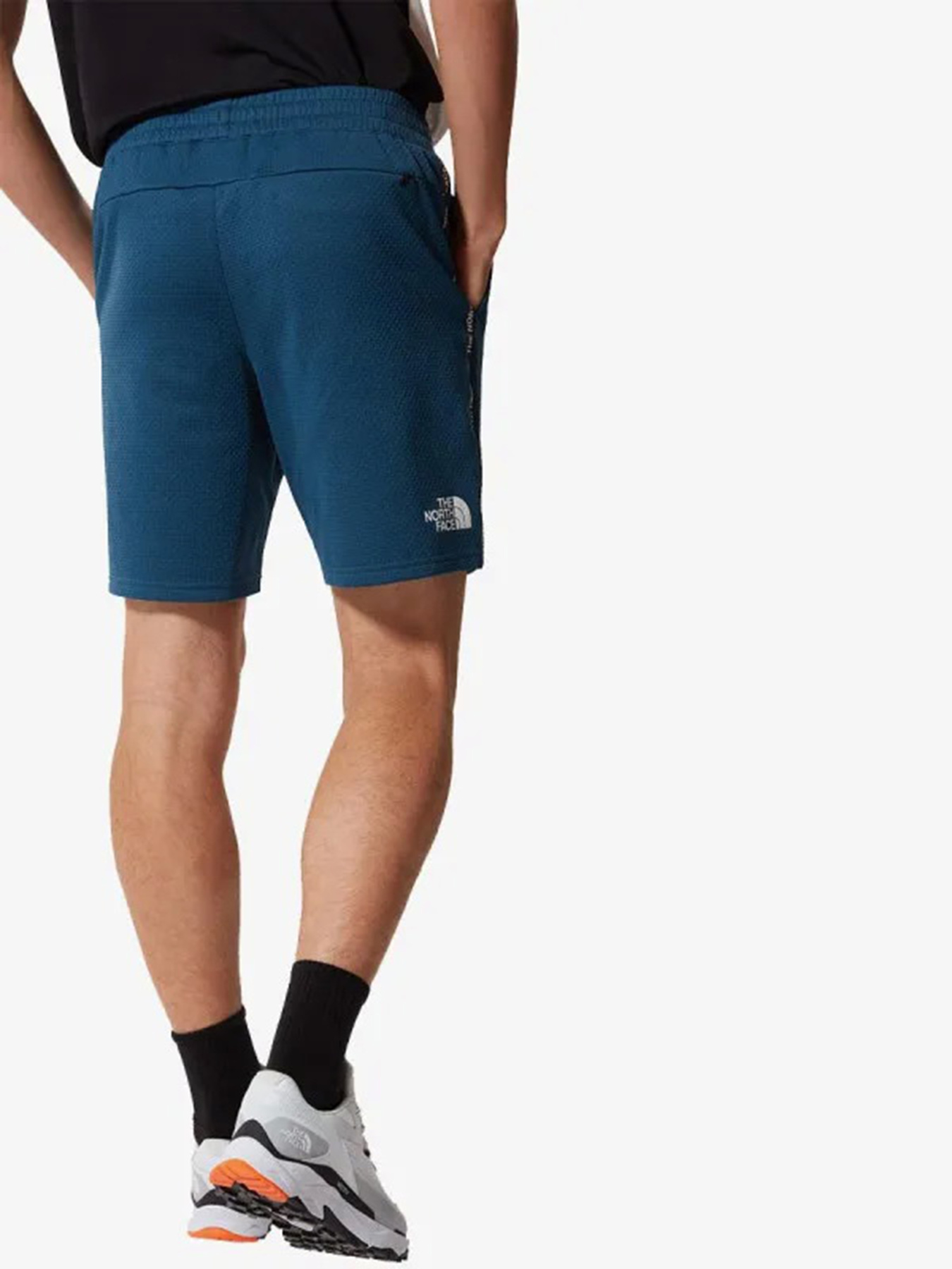 Шорты The North Face модель NF0A5579BH71 Фото