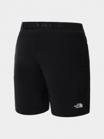 Шорты The North Face модель NF0A558FP9B1 Фото