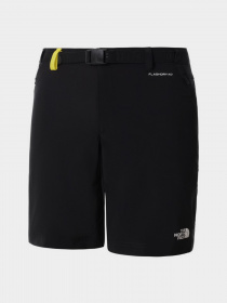 Шорты The North Face модель NF0A558FP9B1 Фото