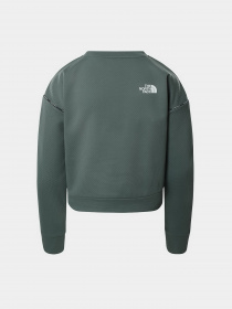 Худи и свитшоты The North Face модель NF0A55HDHBS1 Фото