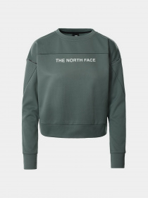 Худи и свитшоты The North Face модель NF0A55HDHBS1 Фото