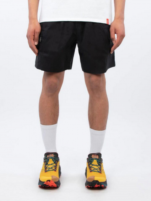Шорты The North Face модель NF0A55V8JK31 Фото